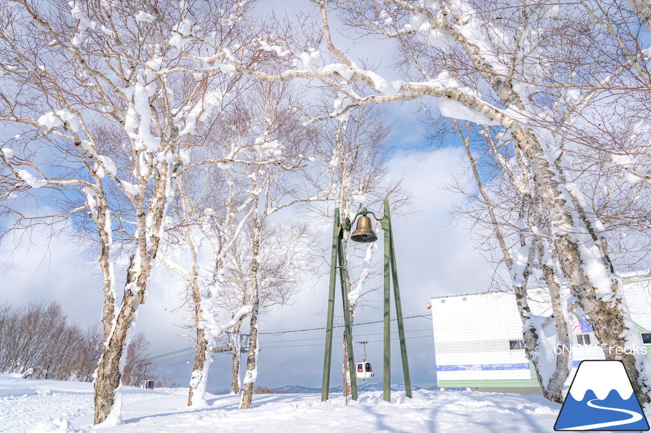 マウントレースイ｜お正月の記録的な大雪でゲレンデのコンディションはバッチリ！凸凹の未圧雪エリアを楽しみましょう♪